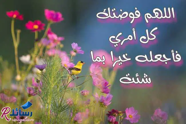 ادعية صباحية قصيرة مستجابة