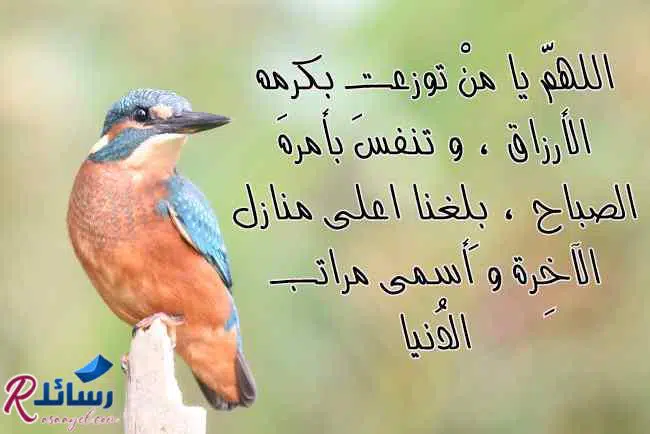 رسائل أدعية صباحية قصيرة للحبيب