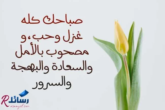 رسائل حب صباحية للمخطوبين