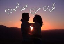 +50 اجمل كلمات حب جميلة للحبيب +50 اجمل كلمات حب جميلة للحبيب