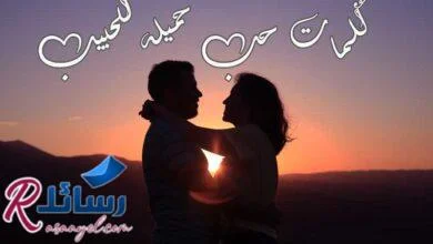 +50 اجمل كلمات حب جميلة للحبيب